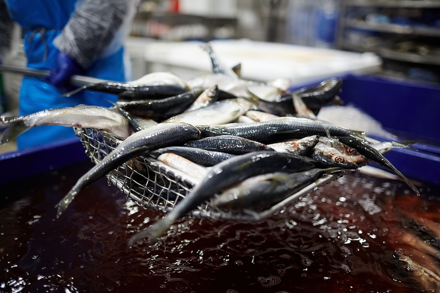 seafood processing